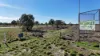 172 Tancred Drive, Bourke, NSW 2840-Image