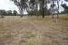 1720C Bruxner Way, Tenterfield, NSW 2372-Image