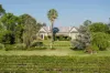 1734 Sturt Highway, Borambola, NSW 2650