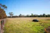 1735 Bengworden Rd, Bengworden, Vic 3875-Image