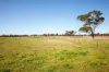 1735 Bengworden Rd, Bengworden, Vic 3875-Image