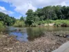 1741 Endeavour Valley Road, Cooktown, Qld 4895-Image