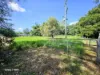 1741 Endeavour Valley Road, Cooktown, Qld 4895-Image