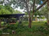 1741 Endeavour Valley Road, Cooktown, Qld 4895-Image