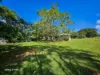 1741 Endeavour Valley Road, Cooktown, Qld 4895-Image