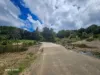 1741 Endeavour Valley Road, Cooktown, Qld 4895-Image