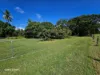 1741 Endeavour Valley Road, Cooktown, Qld 4895-Image