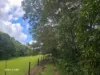 1741 Endeavour Valley Road, Cooktown, Qld 4895-Image