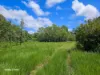 1741 Endeavour Valley Road, Cooktown, Qld 4895-Image