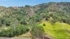 1743 Mirani-Mount Ossa Road, Mount Charlton, Qld 4741-Image
