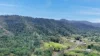 1743 Mirani-Mount Ossa Road, Mount Charlton, Qld 4741-Image