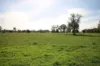 175 Andrews Road, Merrigum, Vic 3618-Image
