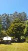 175 Denhams Road, Hallston VIC 3953-Image