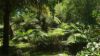 175 Denhams Road, Hallston VIC 3953-Image