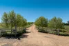 175 Jennings Lane, Molong, NSW 2866-Image