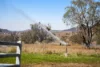 176 McNally Road, Greenmount QLD 4359-Image