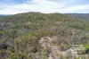 1768 Silent Grove Road, Torrington, NSW 2371-Image
