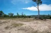 1768 Silent Grove Road, Torrington, NSW 2371-Image