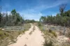 1768 Silent Grove Road, Torrington, NSW 2371-Image