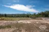 1768 Silent Grove Road, Torrington, NSW 2371-Image