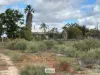 178 Budgie Road, Menindee, NSW 2879-Image