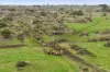 1780 Corangamite Lake Road, Dreeite, Vic 3249-Image