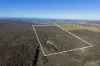 1787 Spring Ridge Road, Gulgong, NSW 2852-Image