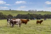 179 Fairfield Lane, Darraweit Guim, Vic 3756-Image