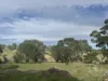 179, Shearers Road, Eden Valley, SA 5235-Image