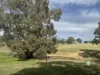 179, Shearers Road, Eden Valley, SA 5235-Image