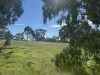 179, Shearers Road, Eden Valley, SA 5235-Image