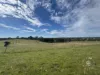 179, Shearers Road, Eden Valley, SA 5235-Image