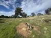 179, Shearers Road, Eden Valley, SA 5235-Image
