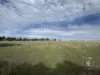 179, Shearers Road, Eden Valley, SA 5235-Image
