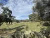 179, Shearers Road, Eden Valley, SA 5235-Image