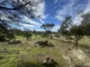 179, Shearers Road, Eden Valley, SA 5235-Image
