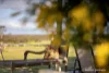 17995 South Coast Highway, Ravensthorpe, WA 6346-Image