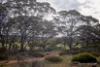 17995 South Coast Highway, Ravensthorpe, WA 6346-Image