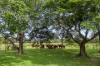 18 Chapmans Road East, Bauple, Qld 4650-Image