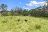 18 Chapmans Road East, Bauple, Qld 4650-Image
