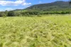 18 Chapmans Road East, Bauple, Qld 4650-Image