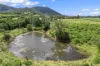 18 Chapmans Road East, Bauple, Qld 4650-Image
