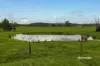 180 Middleton Road, Labertouche, Vic 3816-Image