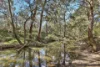 1807 Windeyer Road, Windeyer, NSW 2850-Image