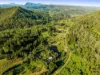 181 Lindsay Road, Larnook, NSW 2480