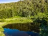 181 Lindsay Road, Larnook, NSW 2480-Image