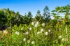 181 Lindsay Road, Larnook, NSW 2480-Image