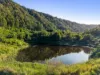 181 Lindsay Road, Larnook, NSW 2480-Image