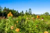 181 Lindsay Road, Larnook, NSW 2480-Image