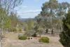 182 Bidgee Road, Binjura, NSW 2630-Image